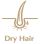 Dry Hair